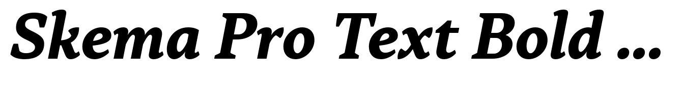 Skema Pro Text Bold Italic